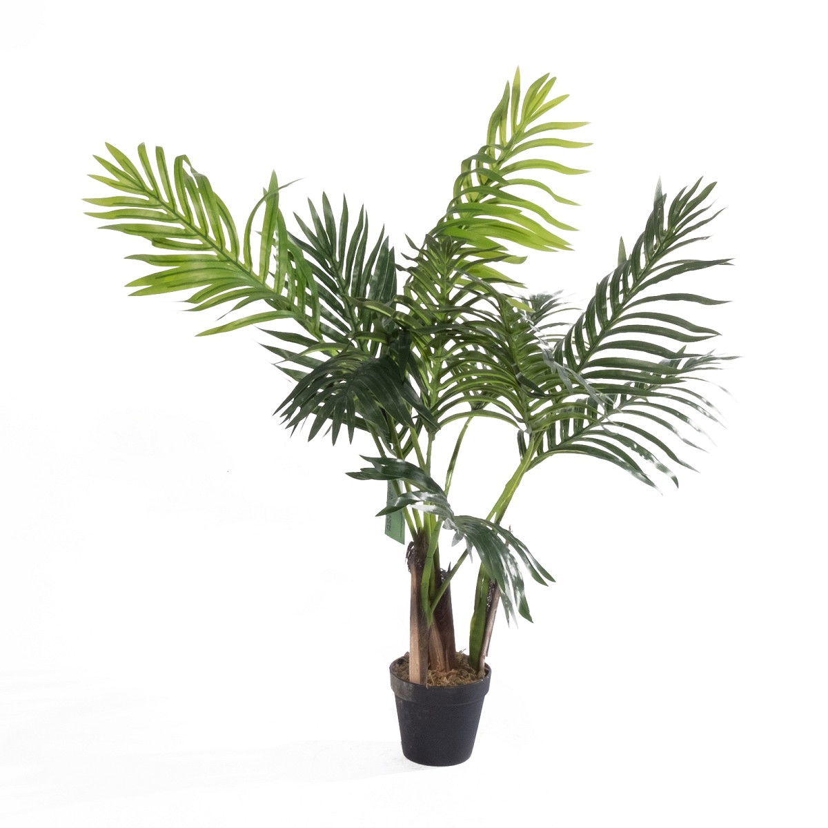 Supergreens Τεχνητό Φυτό Αρέκα \"Sprout\" Πράσινο 80 εκ.