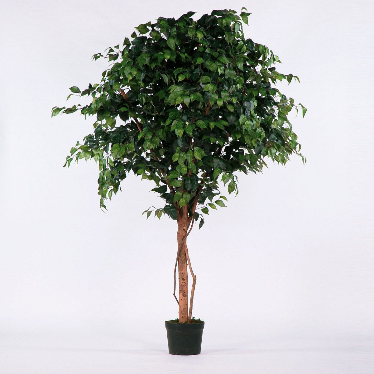 Supergreens Τεχνητό Δέντρο Φίκος Πράσινο 230 εκ.