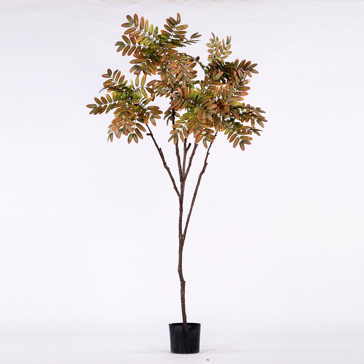 Supergreens Τεχνητό Δέντρο Φιλόδενδρο Kαφέ 220 εκ.