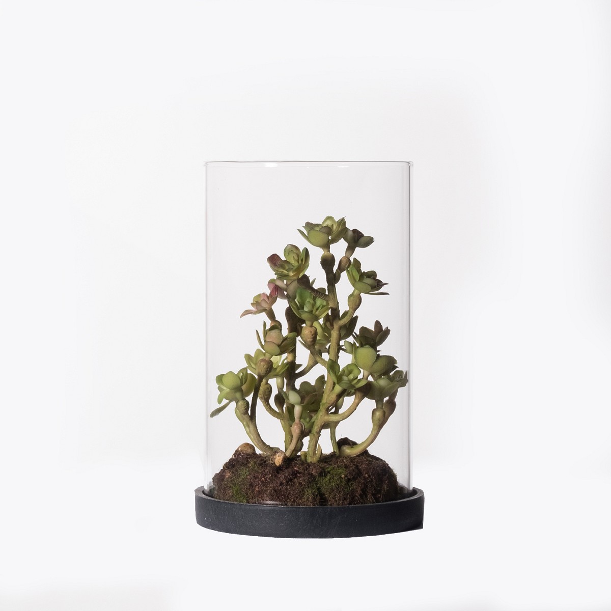 Supergreens Τεχνητό Φυτό Σέντουμ Cauticola Πράσινο 15 εκ.