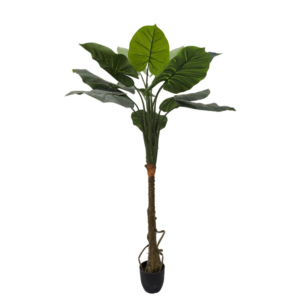Supergreens Τεχνητό Δέντρο Αλοκάσια Πράσινο 150 εκ.