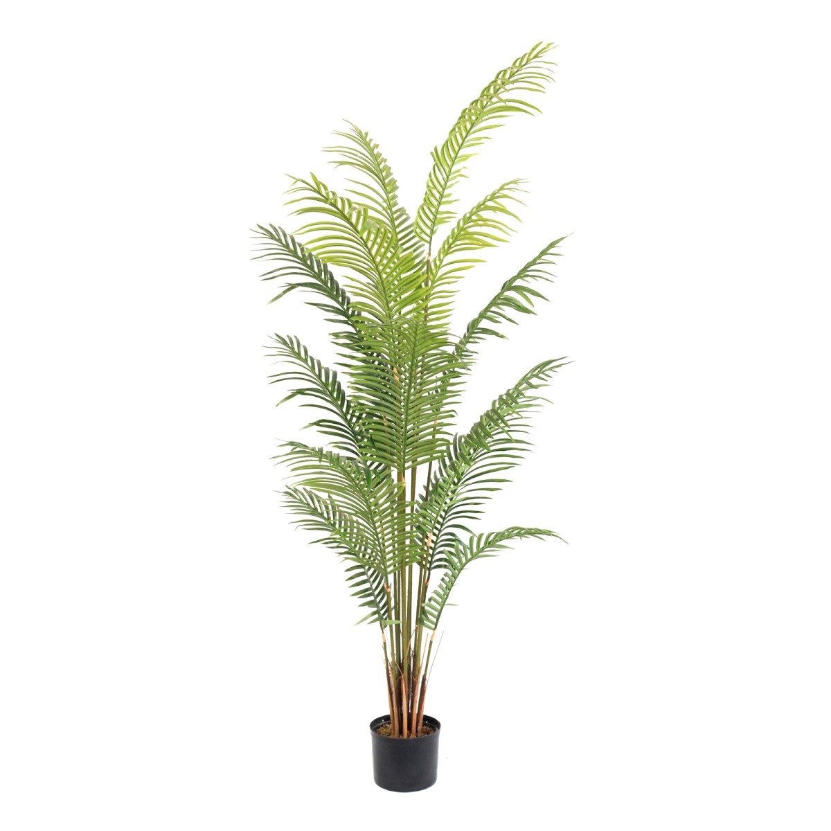 Supergreens Τεχνητό Δέντρο Αρέκα \"Horizon\" Πράσινο 200 εκ.