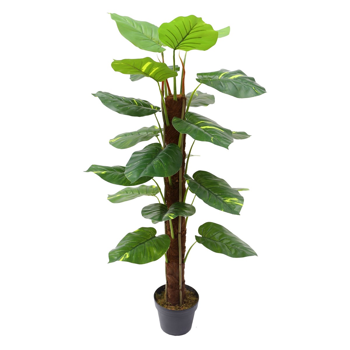 Supergreens Τεχνητό Δέντρο Χρυσός Πόθος Πράσινο 115 εκ.