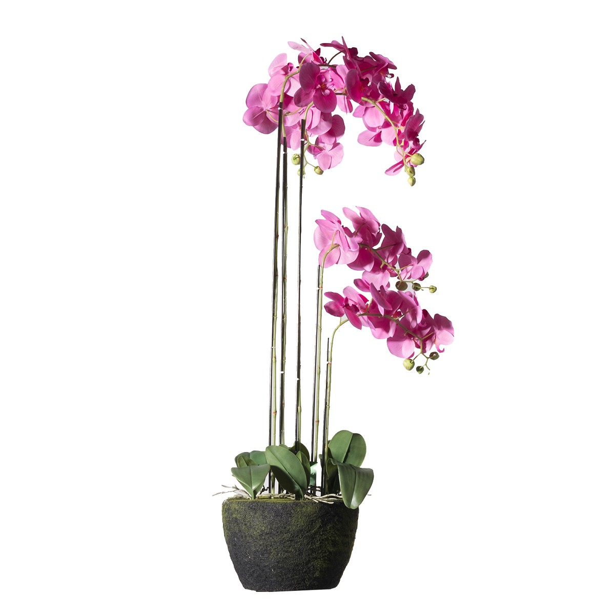 Supergreens Τεχνητό Φυτό Ορχιδέα Phalaenopsis Real Touch Φούξια με Βάση Moss 110 εκ.