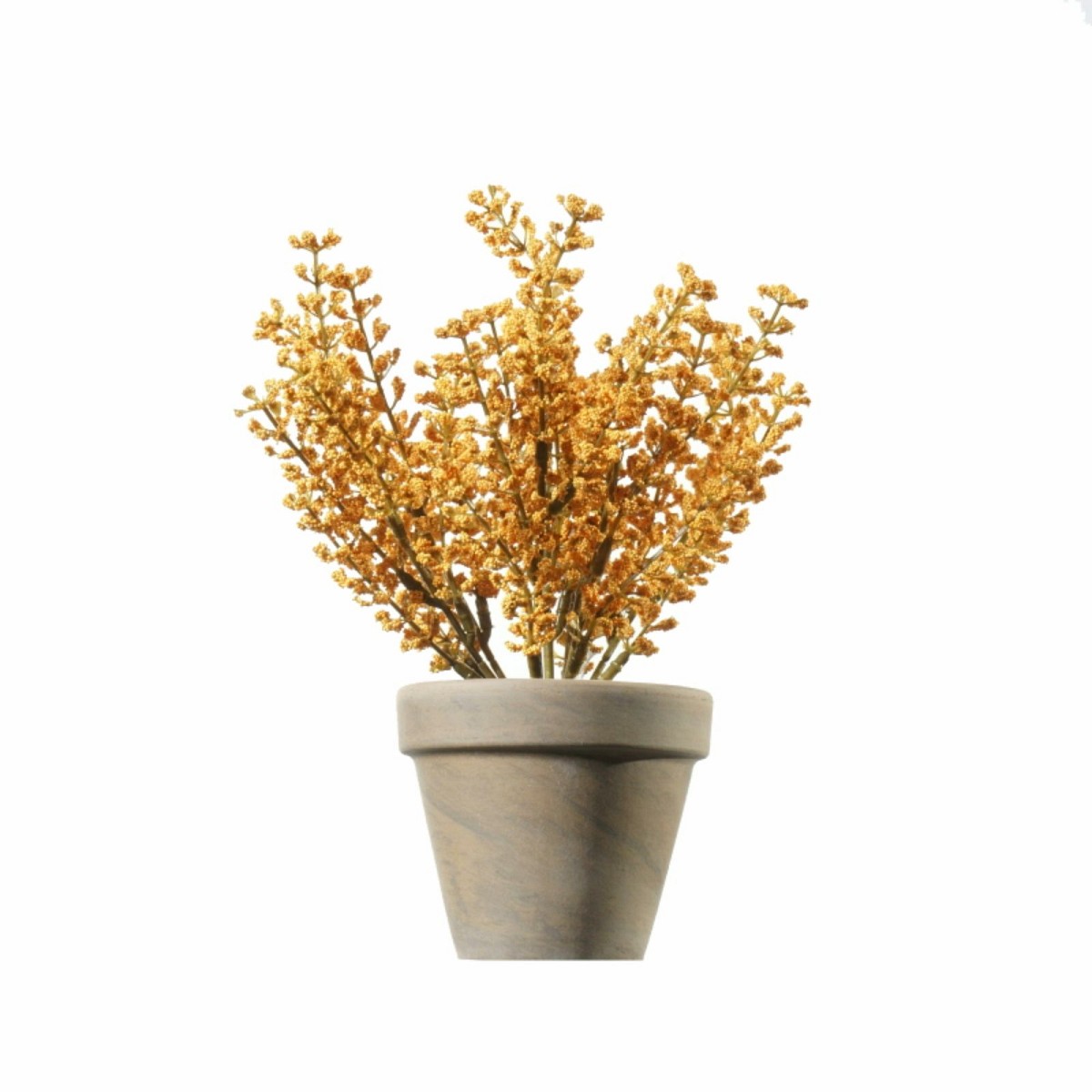 Supergreens Τεχνητό Φυτό Αστίλβη Πορτοκαλί 21 εκ.