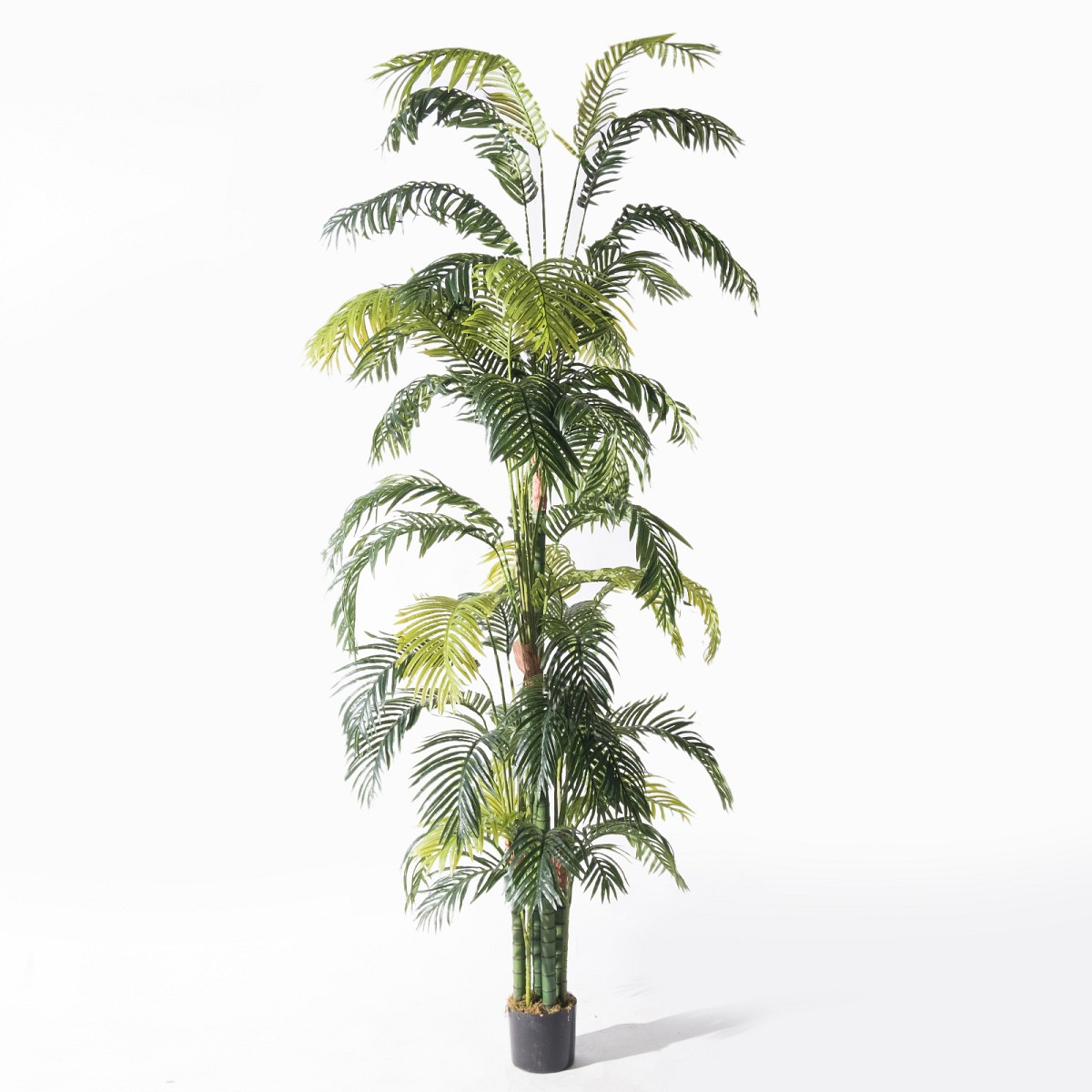 Supergreens Τεχνητό Δέντρο Αρέκα \"Hawai\" Πράσινο 300 εκ.