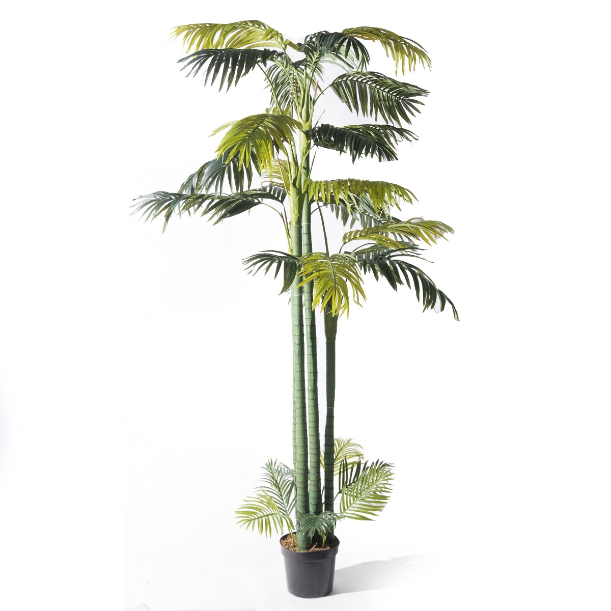 Supergreens Τεχνητό Δέντρο Αρχοντοφοίνικας \"Betel Noble\" Πράσινο 340 εκ.