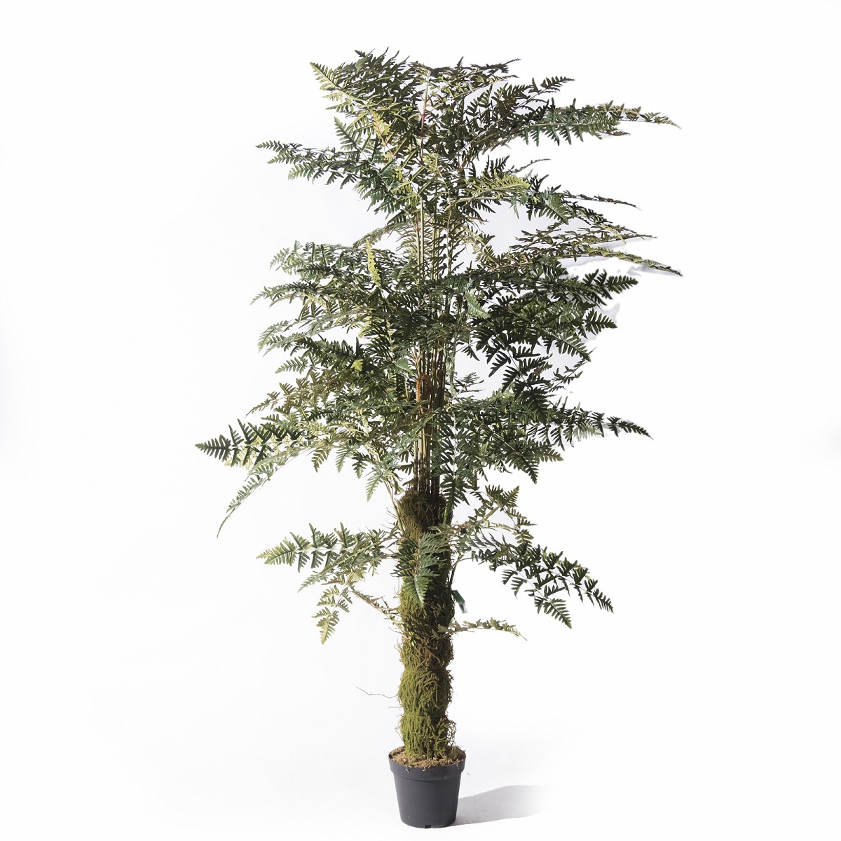 Supergreens Τεχνητό Δέντρο Φτέρη 260 εκ.