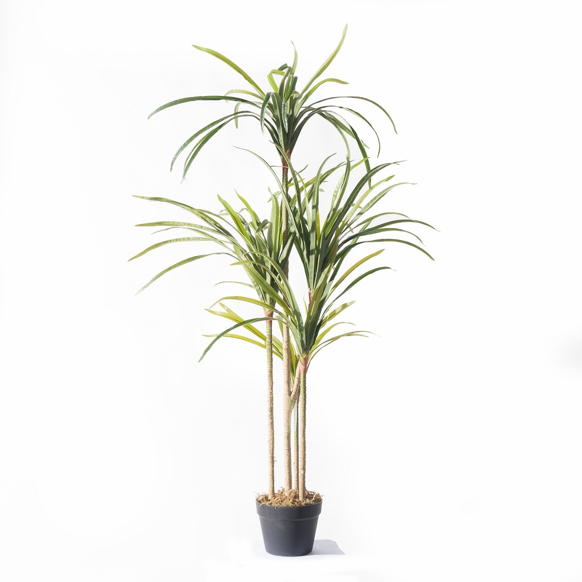 Supergreens Τεχνητό Δέντρο Δράκαινα \"Anita\" Πράσινο 150 εκ.