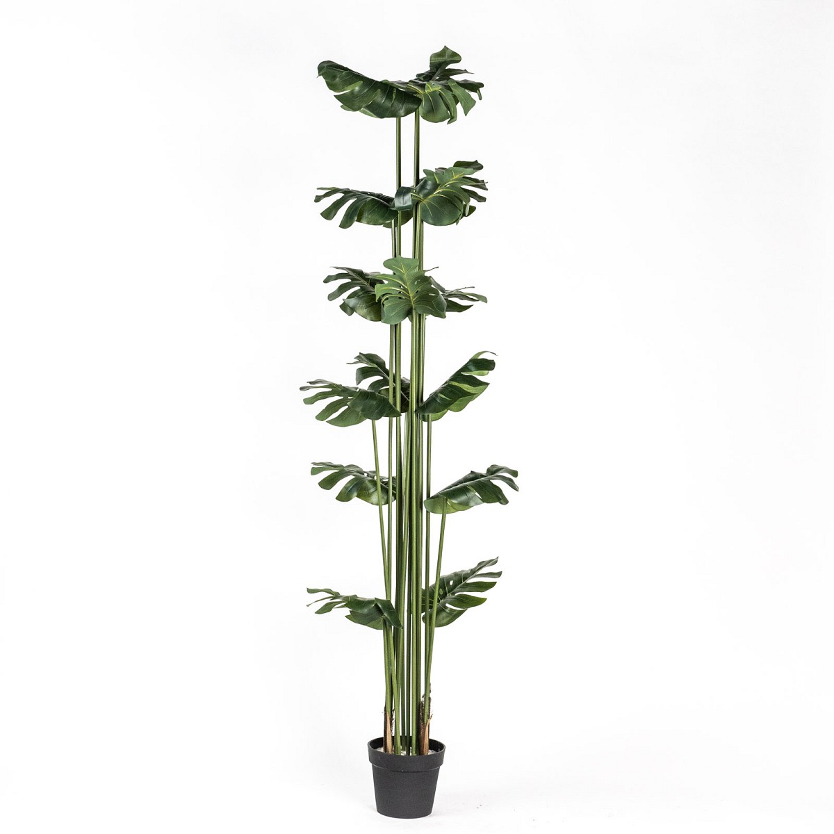 Supergreens Τεχνητό Δέντρο Μονστέρα Πράσινο 200 εκ.