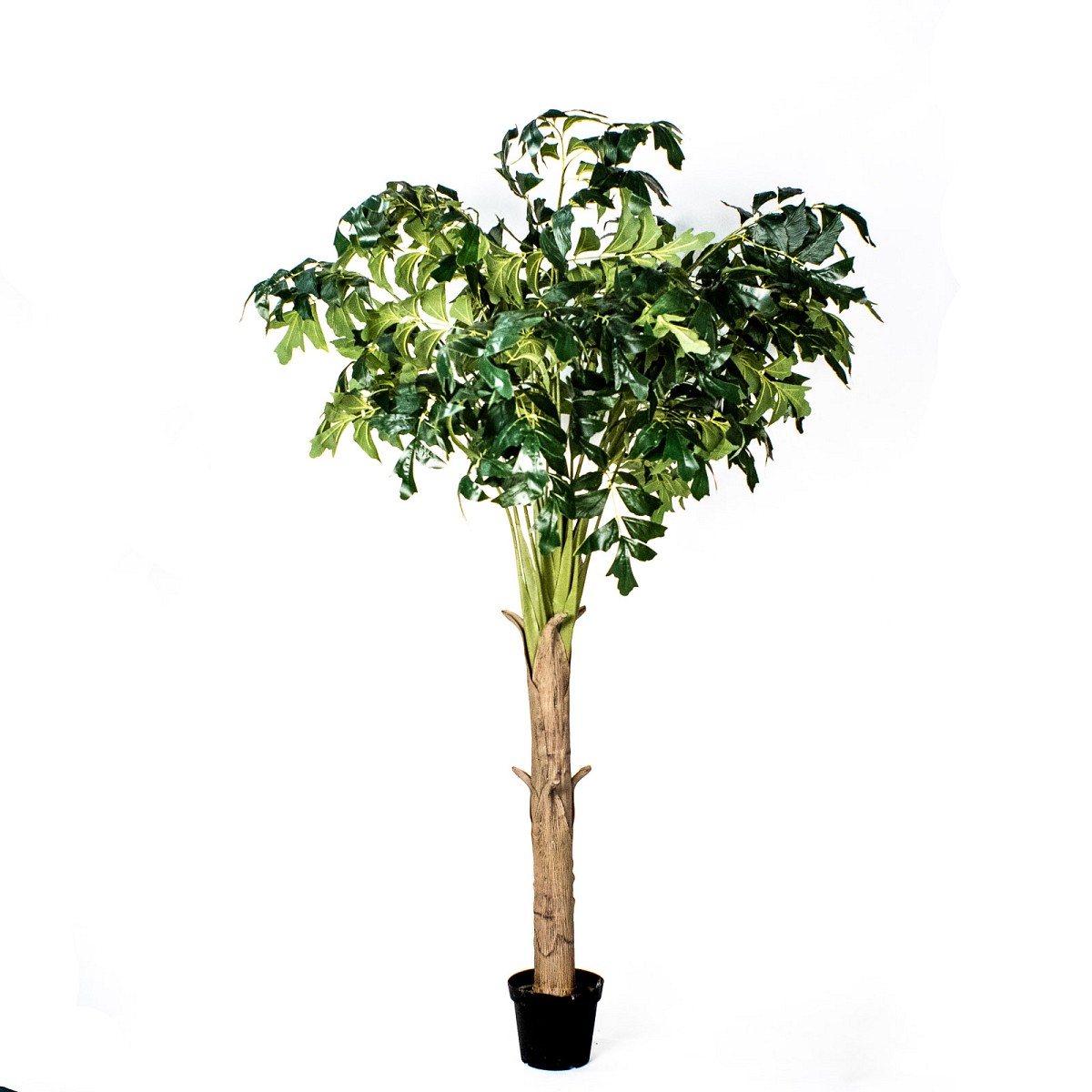 Supergreens Τεχνητό Δέντρο Φίκος \"Abstract\" Πράσινο 250 εκ.