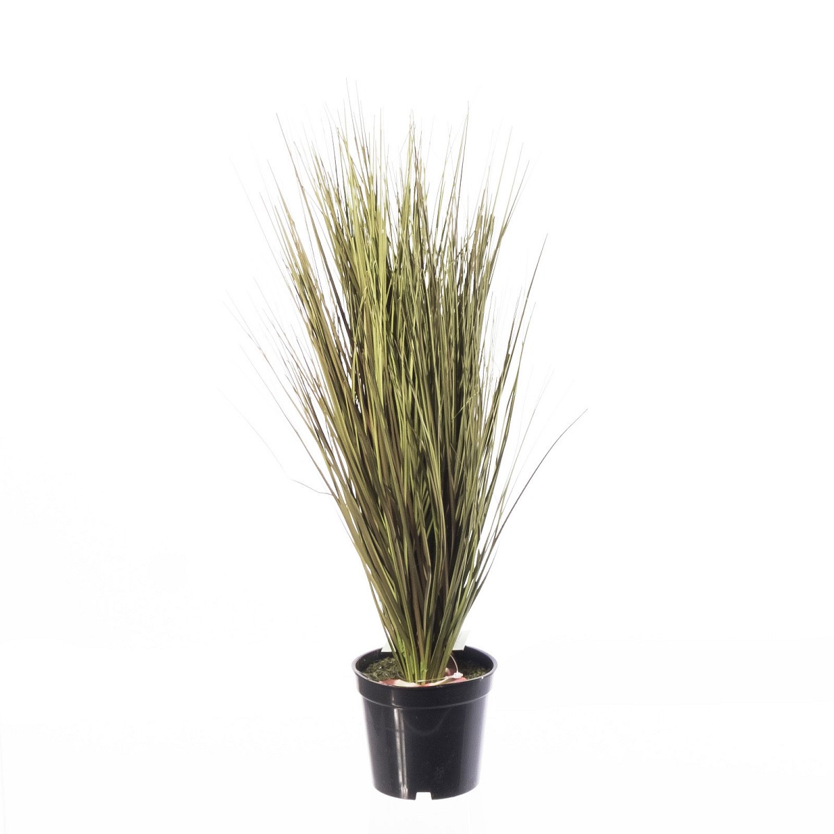 Supergreens Τεχνητό Φυτό Χορτάρι Στίπα \"Argentina\" Πράσινο 76 εκ.