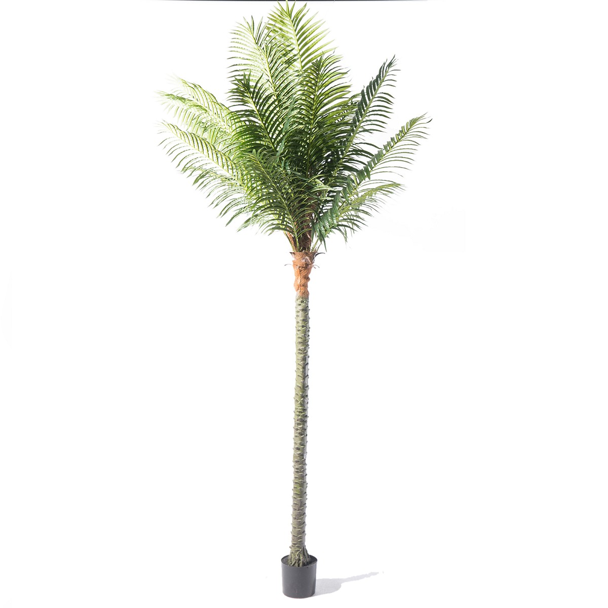 Supergreens Τεχνητό Δέντρο Φοίνικας \"Robellini\" Πράσινο 250 εκ.