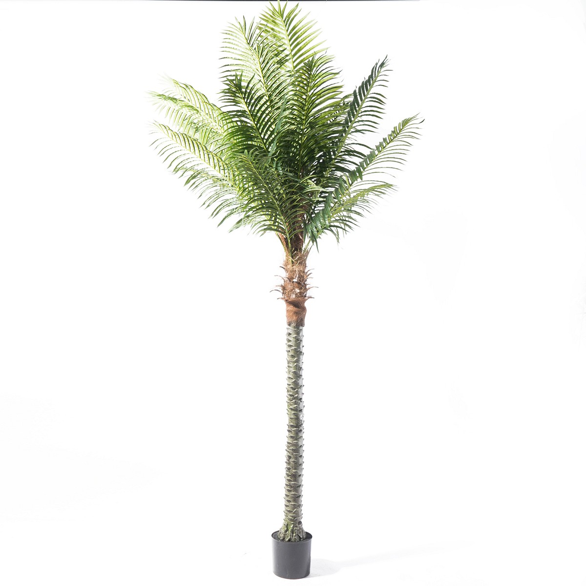 Supergreens Τεχνητό Δέντρο Φοίνικας \"Robellini\" Πράσινο 350 εκ.