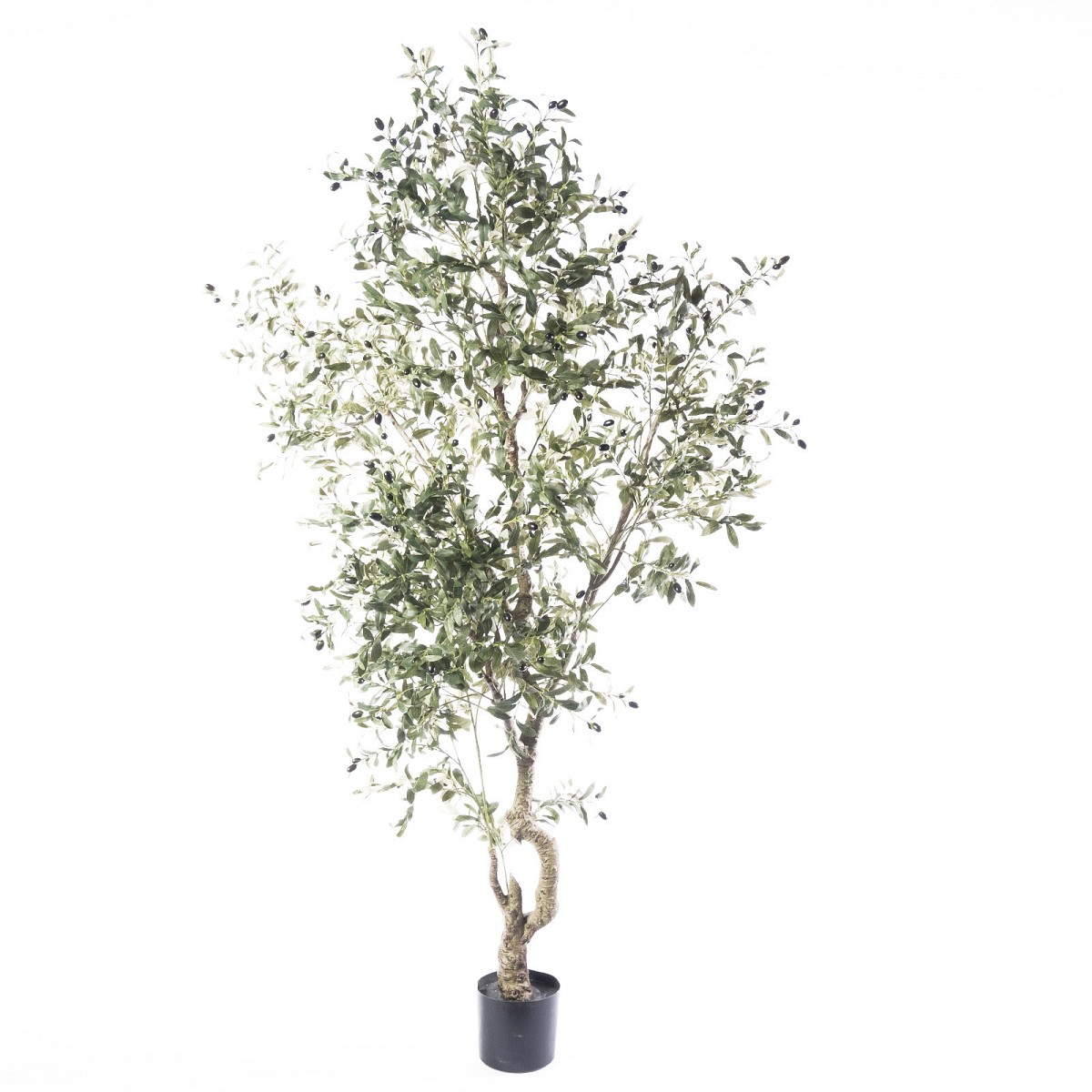 Supergreens Τεχνητό Δέντρο Ελιά \"Pendolino\" Πράσινο 210 εκ.