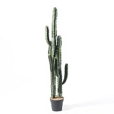 Supergreens Τεχνητό Φυτό Εφόρμπια 143 εκ.