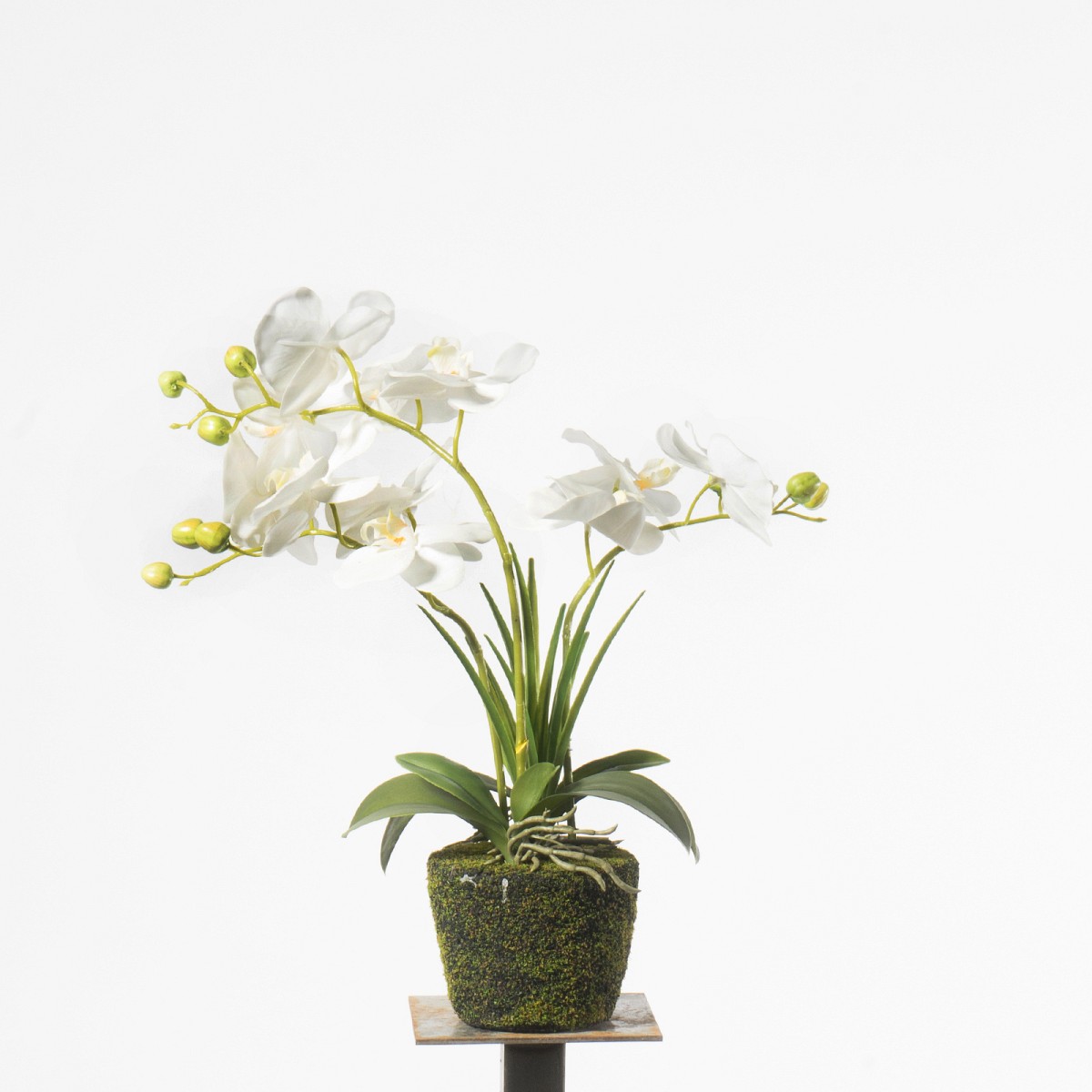 Supergreens Τεχνητό Φυτό Ορχιδέα Phalaenopsis Λευκό 42 εκ.