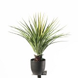 Supergreens Τεχνητό Φυτό Γιούκα "Elephantipes" Πράσινο 60 εκ.