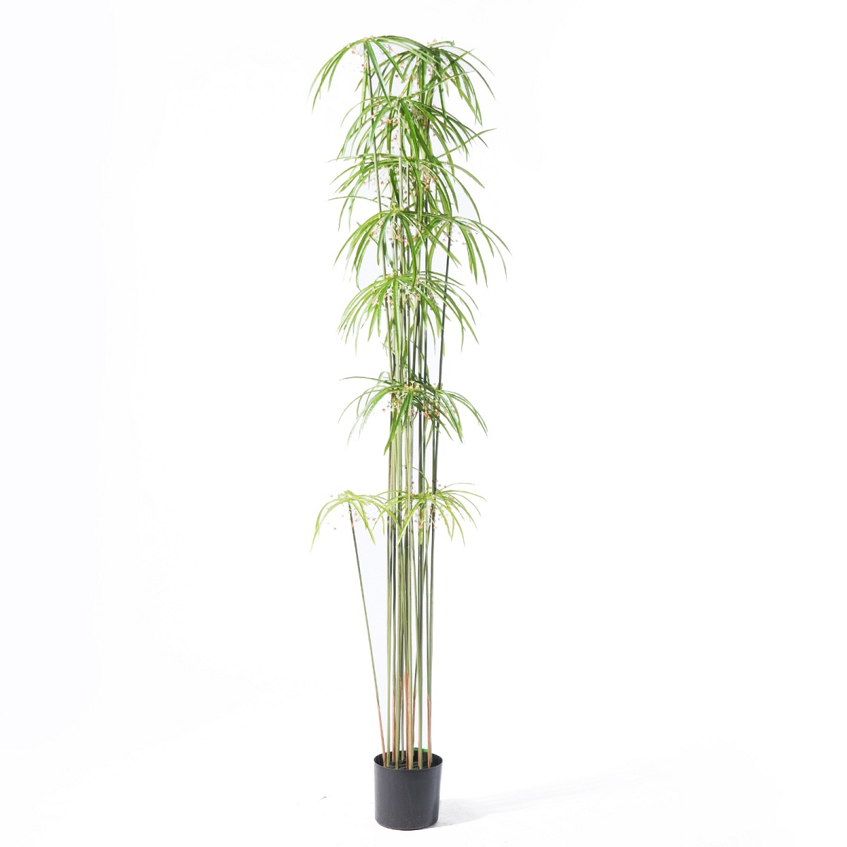 Supergreens Τεχνητό Δέντρο Πάπυρος Πράσινο 210 εκ.