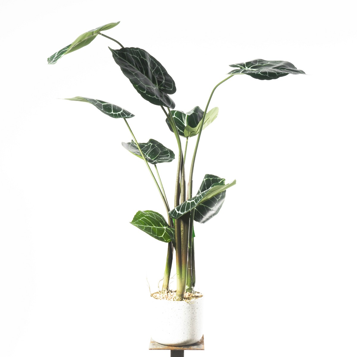 Supergreens Τεχνητό Φυτό Ανθούριο 90 εκ.