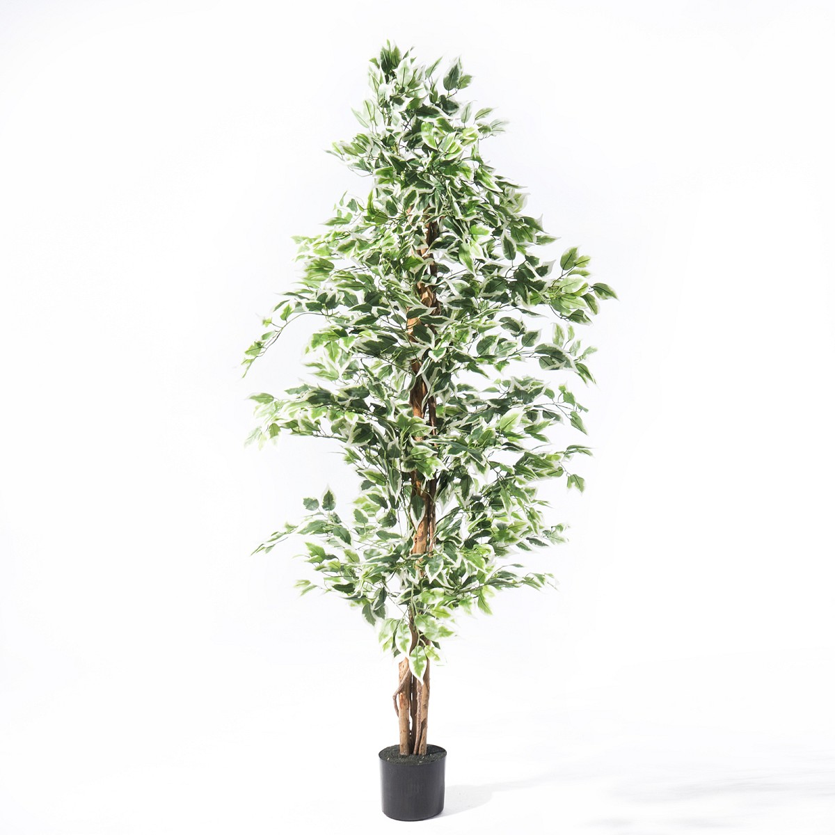 Supergreens Τεχνητό Δέντρο Φίκος \"Benjamina Variegata\" Πράσινο 180 εκ.