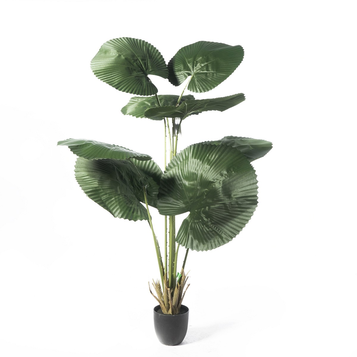 Supergreens Τεχνητό Δέντρο Λικουάλα Πράσινο 150 εκ.