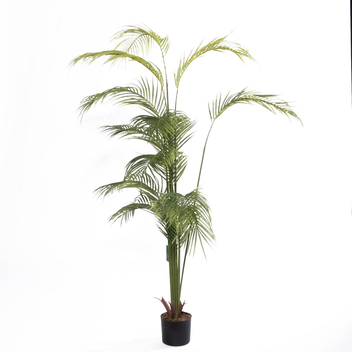 Supergreens Τεχνητό Δέντρο Αρέκα \"Coral\" Πράσινο 190 εκ.