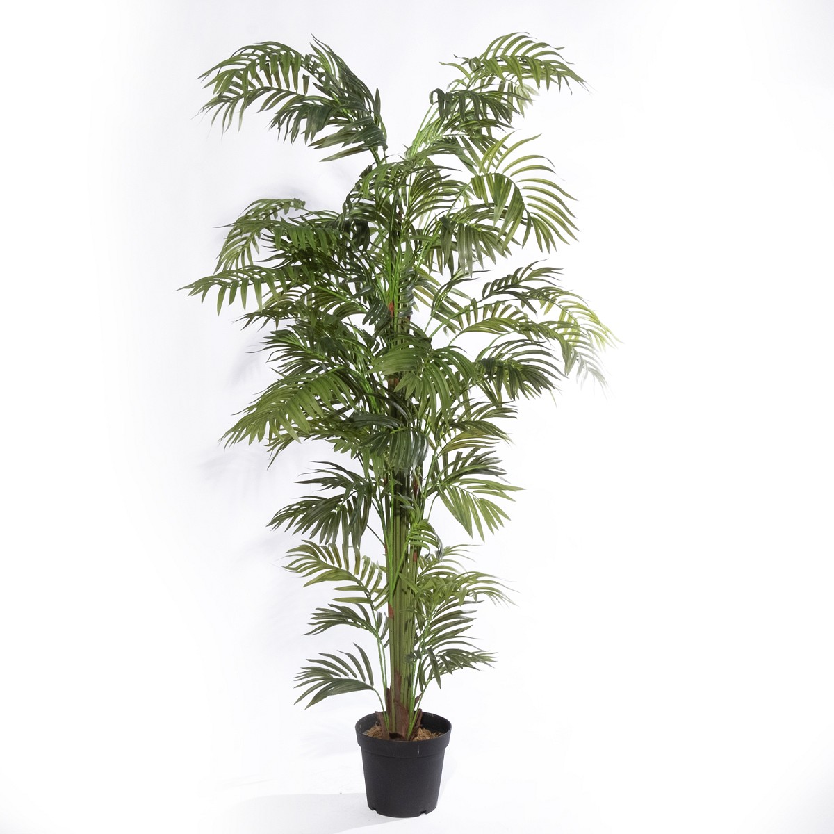 Supergreens Τεχνητό Δέντρο Αρέκα \"Summit\" Πράσινο 210 εκ.