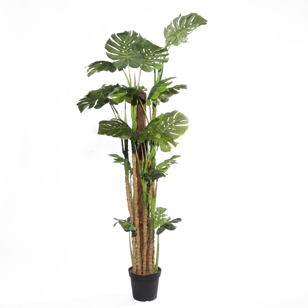 Supergreens Τεχνητό Δέντρο Μονστέρα \"Bloom\" Πράσινο 195 εκ.