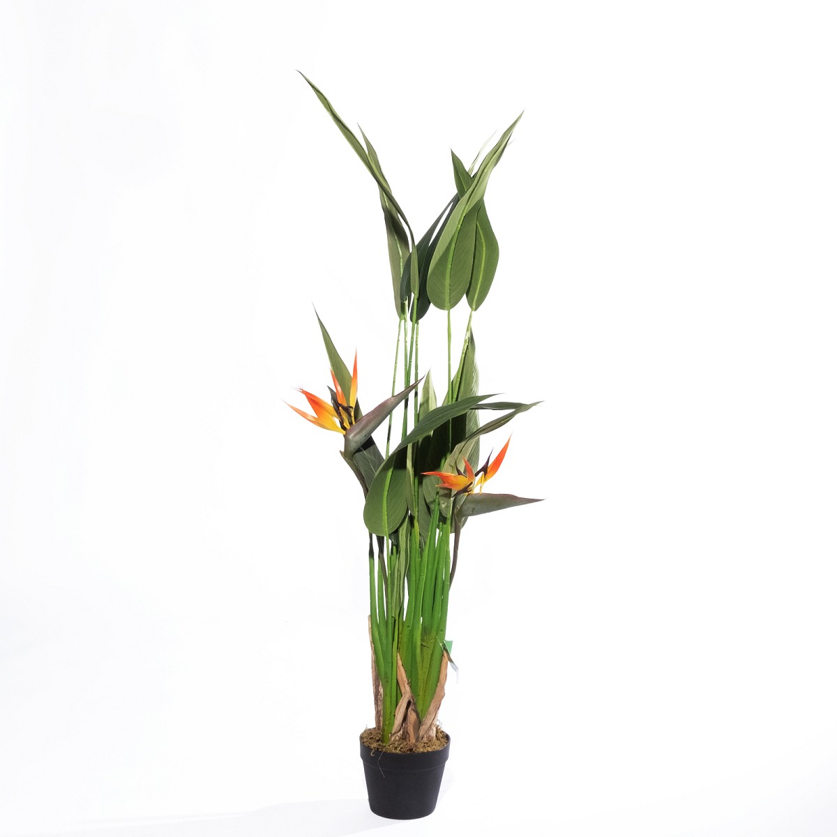 Supergreens Τεχνητό Δέντρο Πουλί του Παραδείσου \"Grove\" Πράσινο 140 εκ.