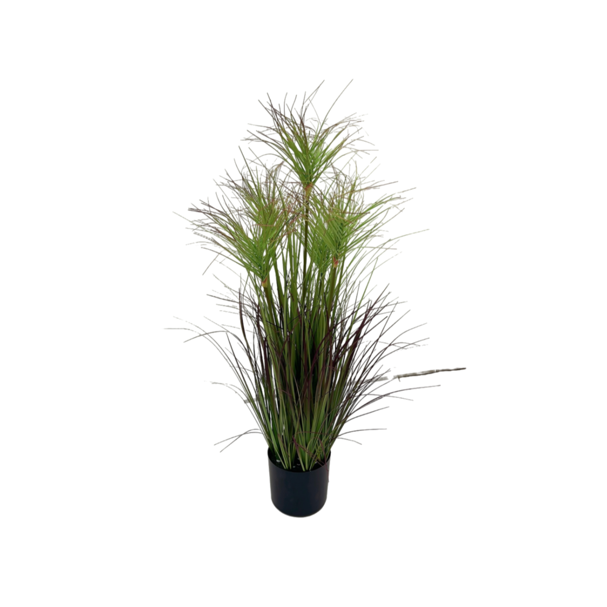 Supergreens Τεχνητό Φυτό Χορτάρι Πάπυρος Πράσινο 90 εκ.