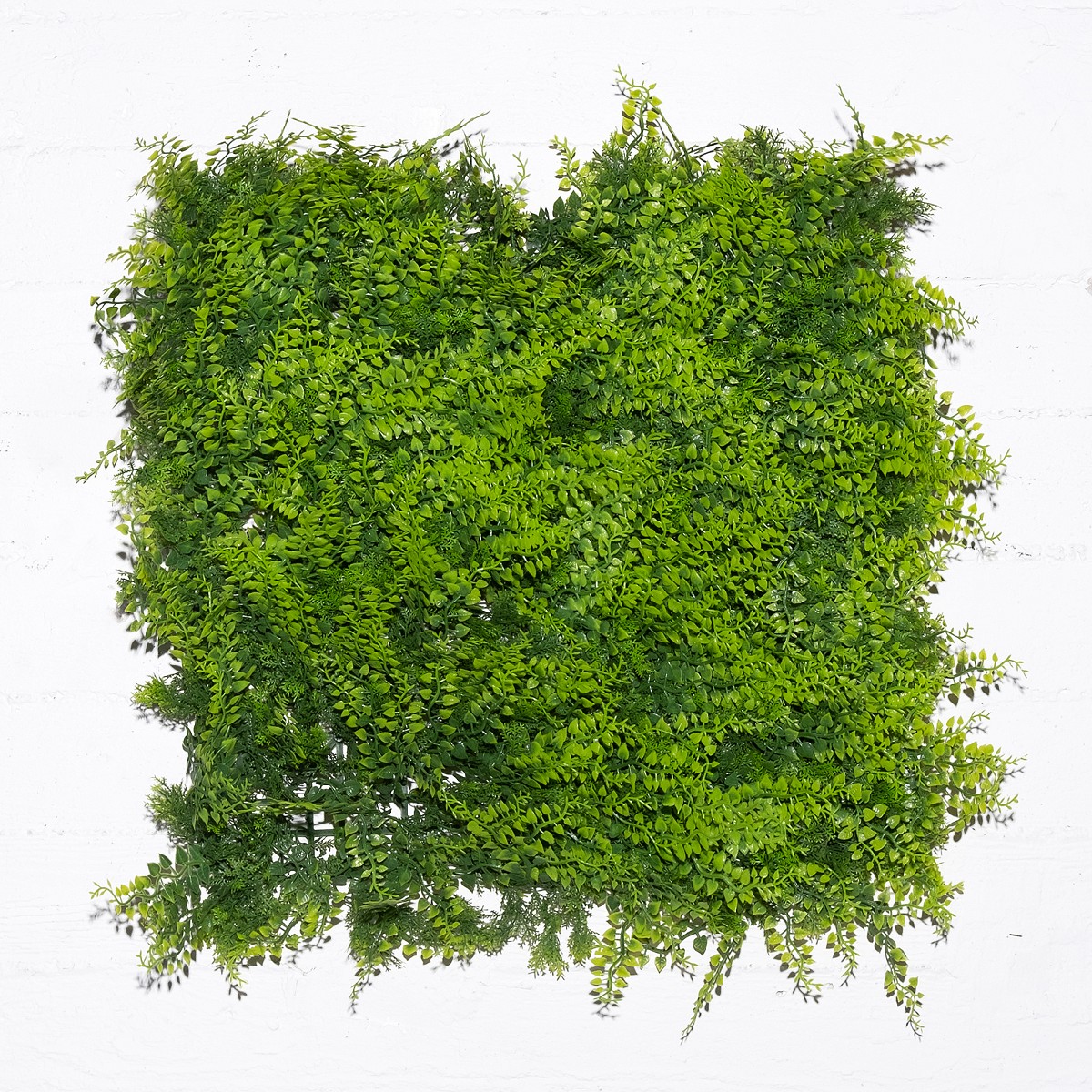 Supergreens Τεχνητή Φυλλωσιά Φτέρη \"Classic\" 50x50 εκ.