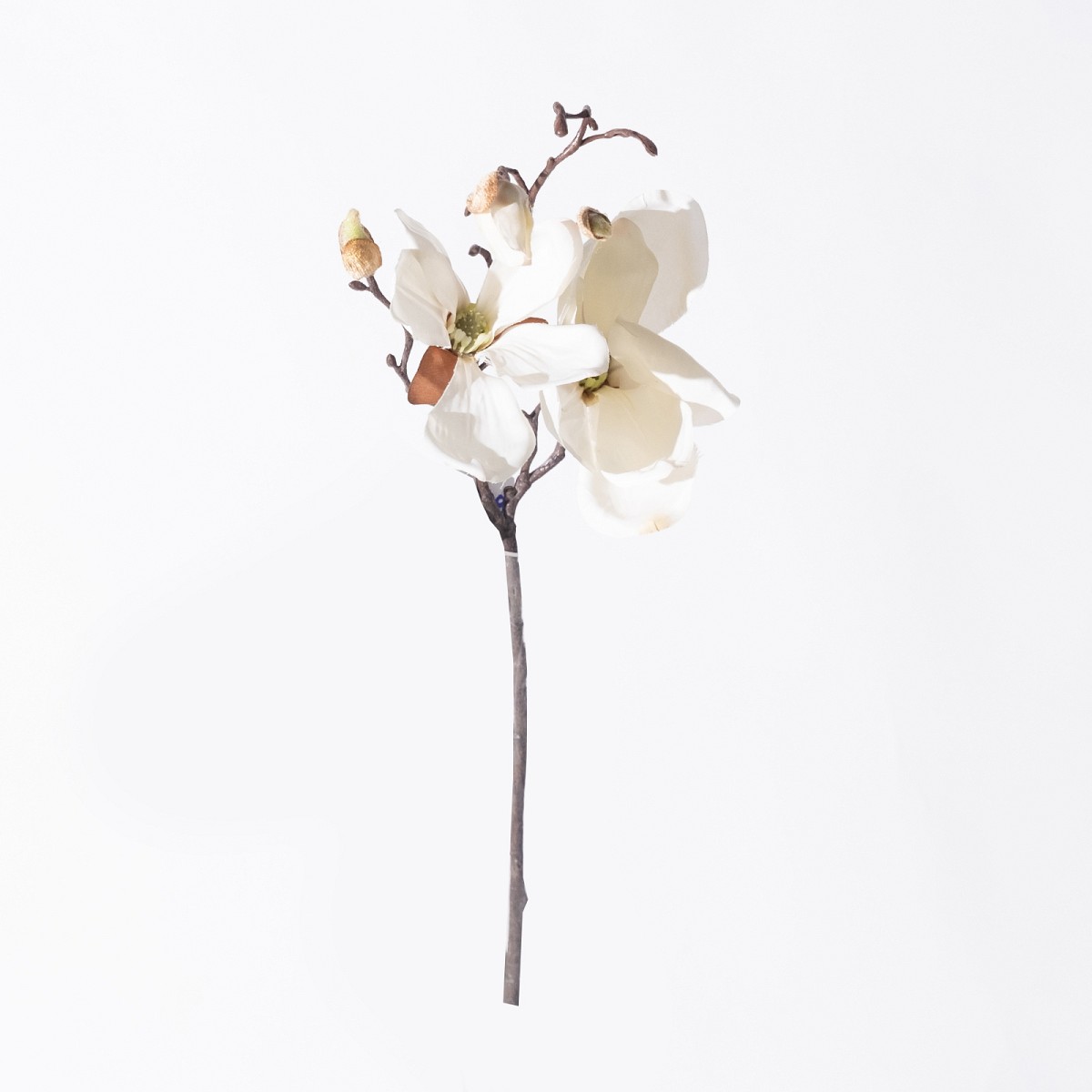 Supergreens Τεχνητό Κλωνάρι Μανόλια Λευκό 50 εκ.