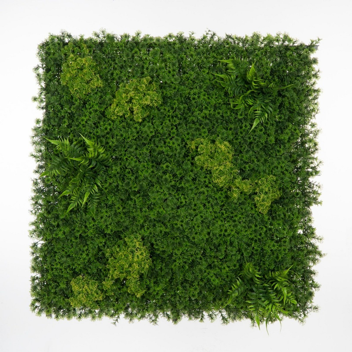 Supergreens Τεχνητή Φυλλωσιά Φτέρη \"Mossy\" 100x100 εκ.