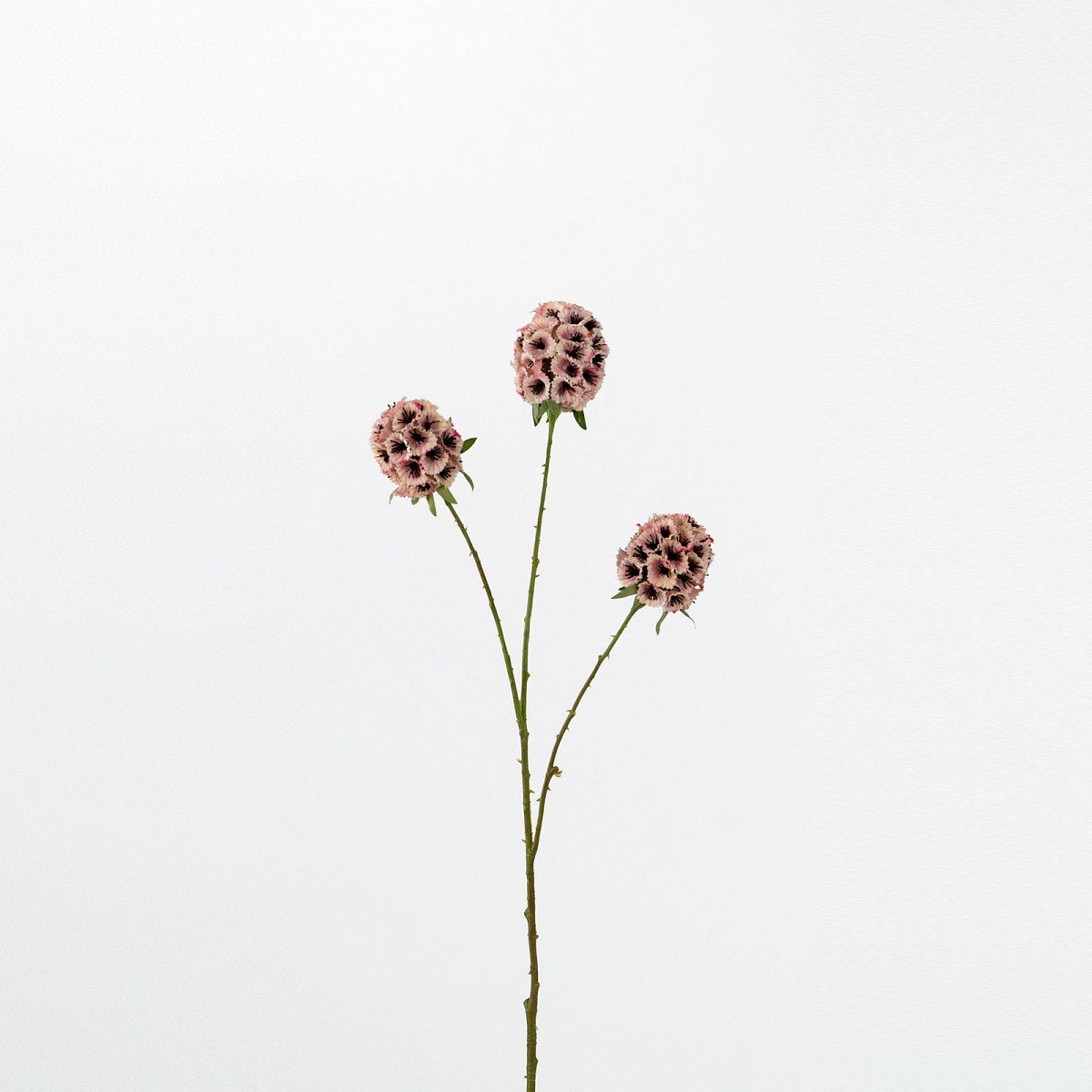 Supergreens Τεχνητό Κλωνάρι Άνθος Ροζ 71 εκ.