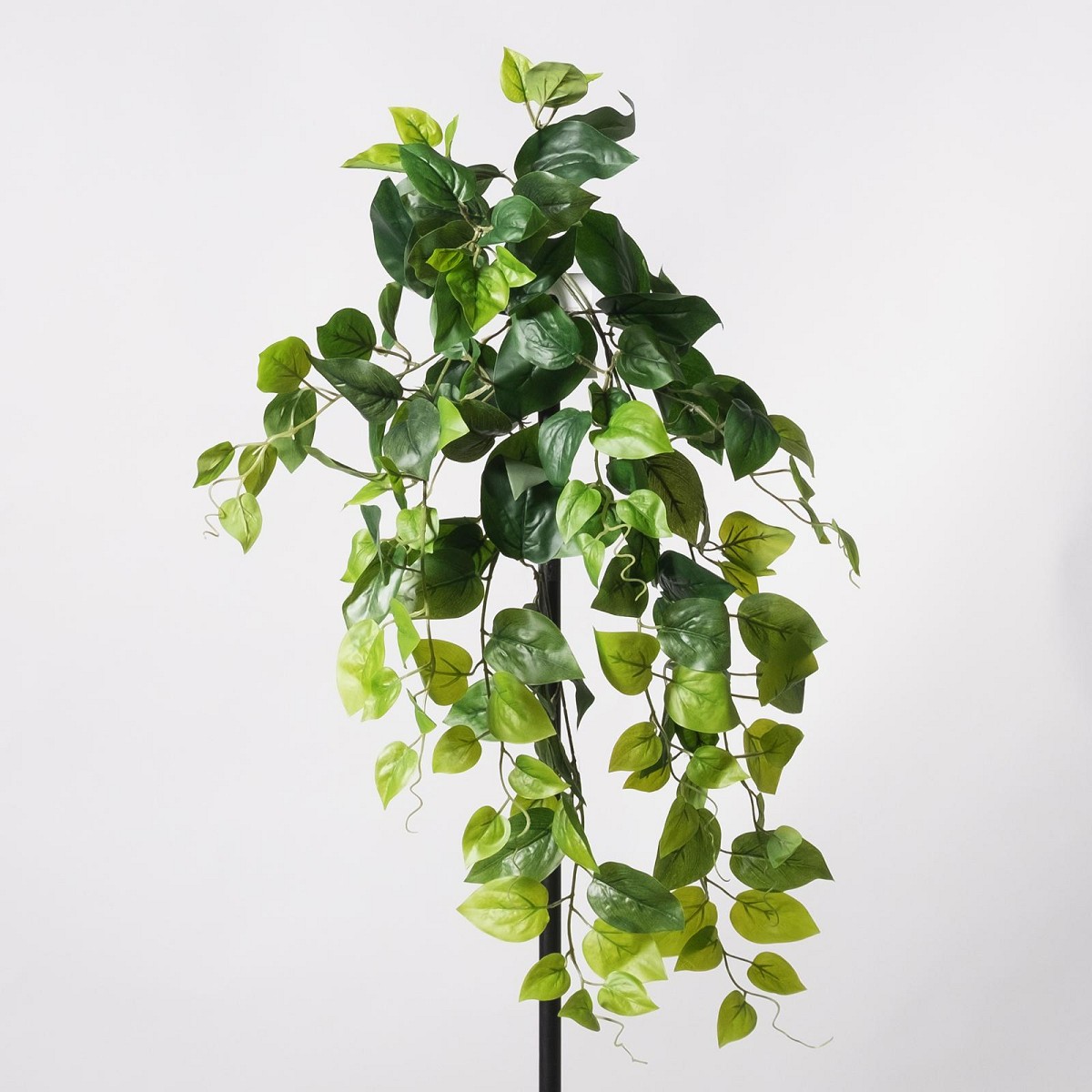 Supergreens Τεχνητός Κρεμαστός Φίκος \"Benjamin\" Πράσινος 70 εκ.