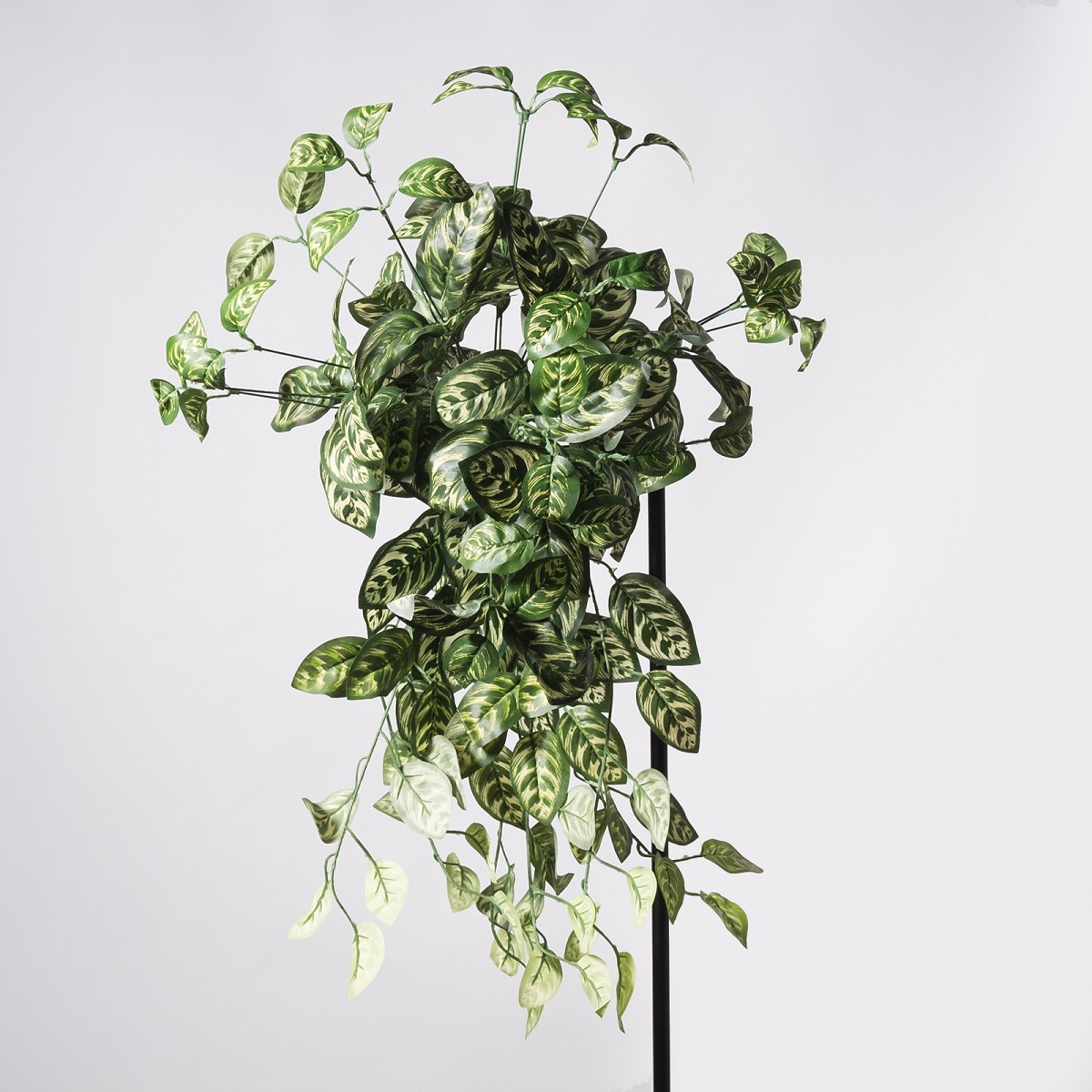 Supergreens Τεχνητός Κρεμαστός Κολεός Blumei Pinata Πράσινος 70 εκ.