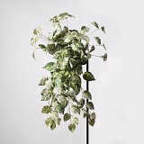 Supergreens Τεχνητός Κρεμαστός Κισσός Atlantic Πράσινος 70 εκ.