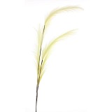 Supergreens Τεχνητό Κλαδί Φτερό Μπεζ 145 εκ.