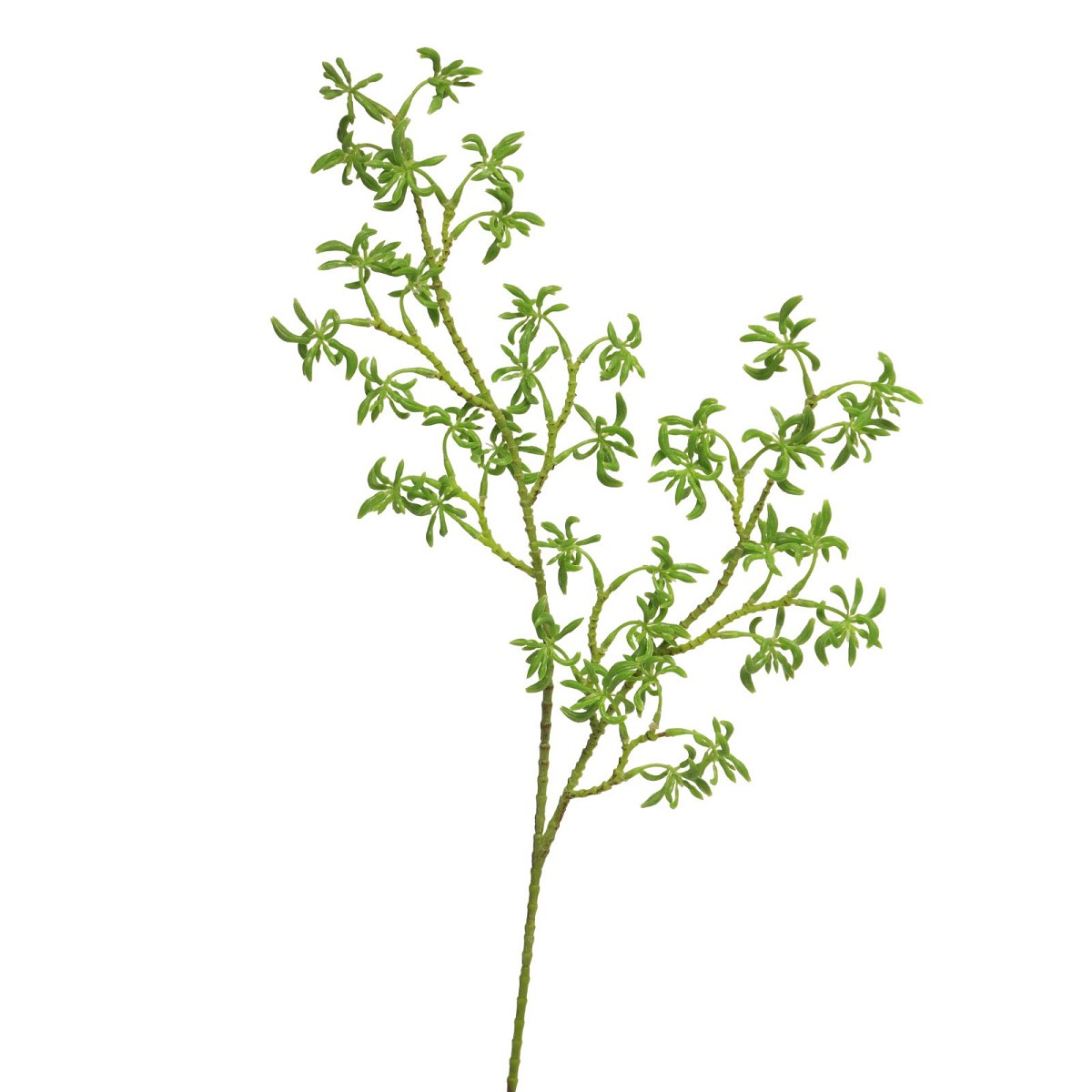 Supergreens Τεχνητό Κλαδί Ανισόγκαθος Πράσινο 66 εκ.