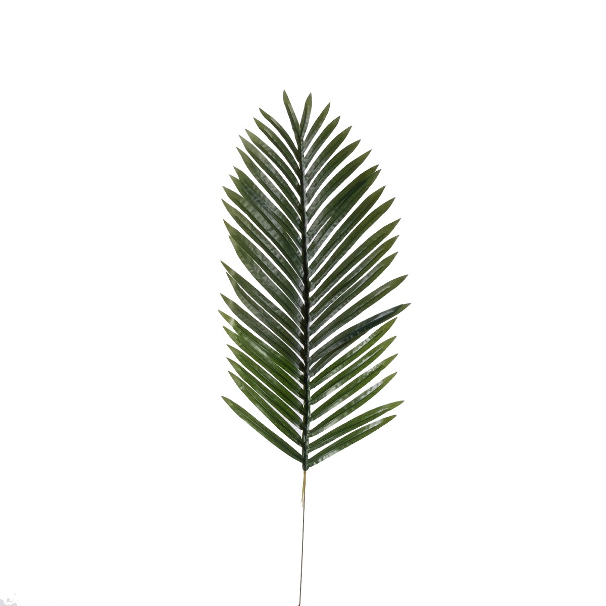 Supergreens Τεχνητό Φύλλο Αρέκα Πράσινο 80 εκ.