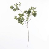 Supergreens Τεχνητό Κλαδί Κισσός Πράσινο 109 εκ.