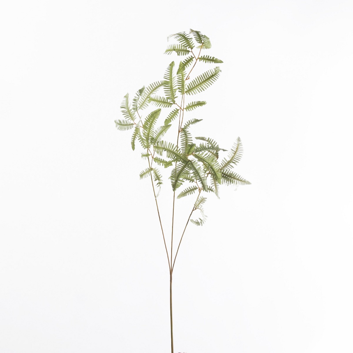 Supergreens Τεχνητό Κλαδί Φτέρη Πράσινο 111 εκ.