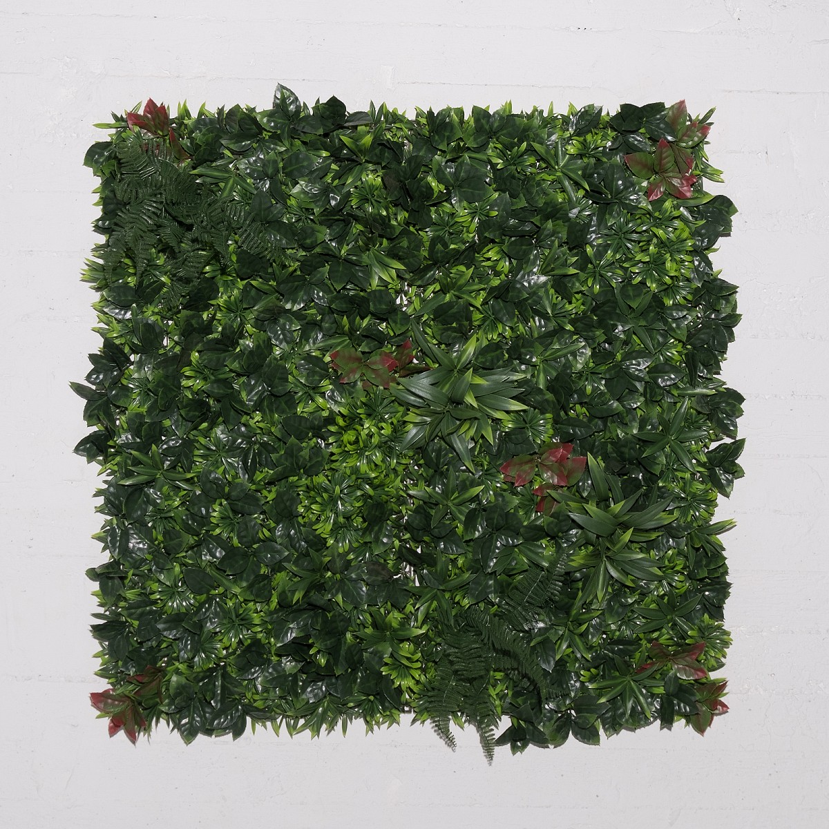 Supergreens Τεχνητή Φυλλωσιά Φίκος με Φτέρη Δίχρωμη 100x100 εκ.