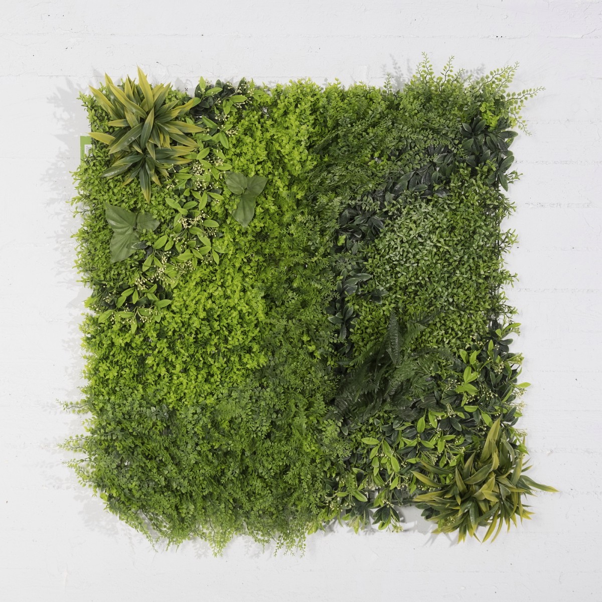 Supergreens Τεχνητή Φυλλωσιά Φτέρη με Baby Tooth Moss 100x100 εκ.