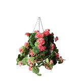 Supergreens Τεχνητό Κρεμαστό Φυτό Γεράνι Ροζ 70 εκ.