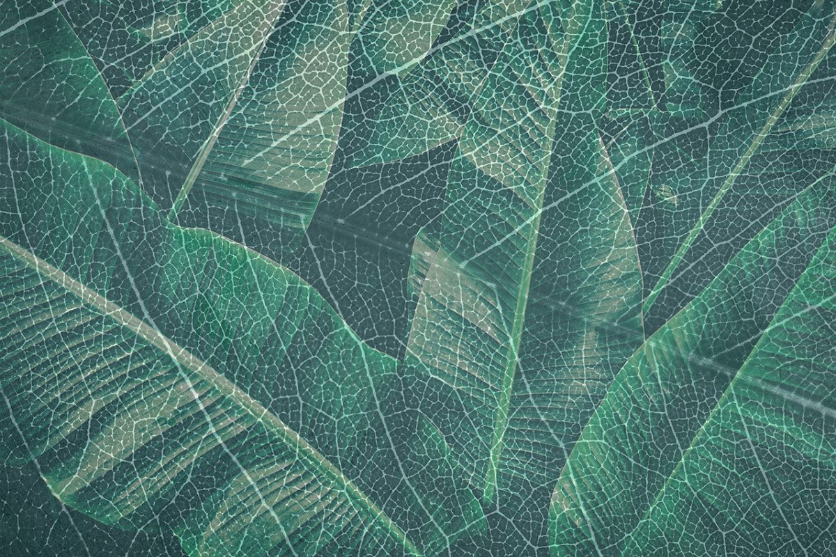 KT-Exclusive GEMINI KT349M-A-MATTVINYL-KTE Ταπετσαρίες τοίχου