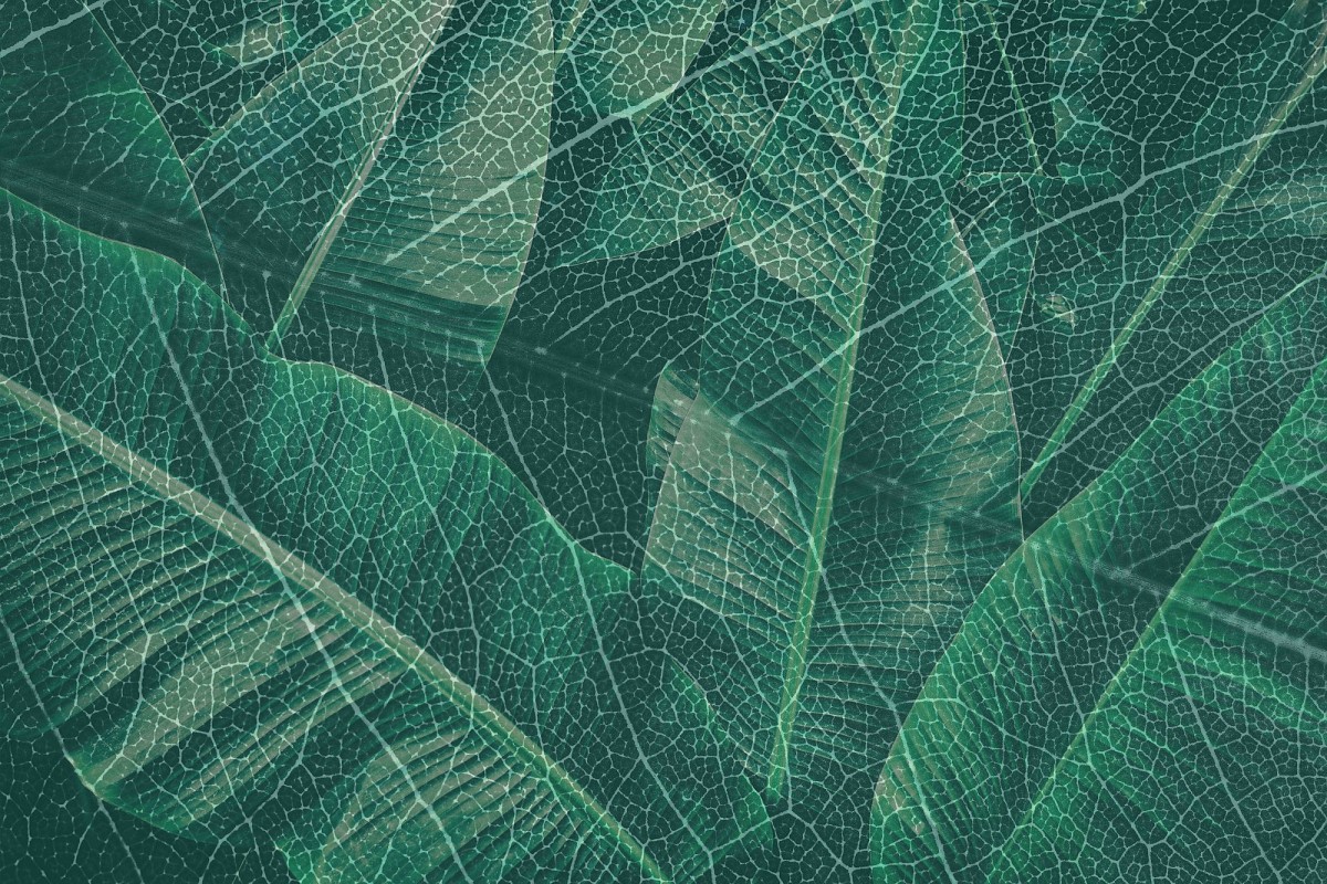 KT-Exclusive GEMINI KT349M-B-MATTVINYL-KTE Ταπετσαρίες τοίχου