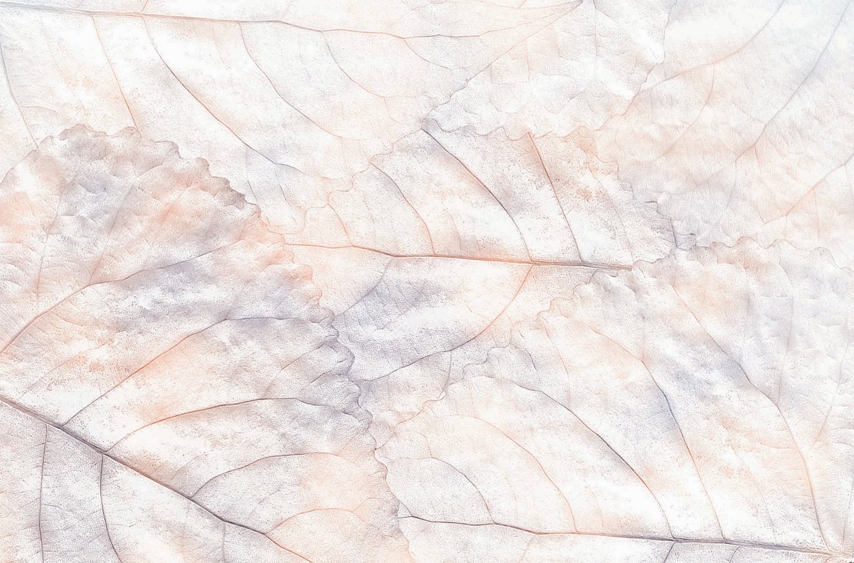 KT-Exclusive GEMINI KT639M-C-MATTVINYL-KTE Ταπετσαρίες τοίχου