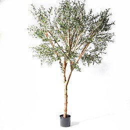 Supergreens Τεχνητό Δέντρο Ελιά ''Natural'' Πράσινη 280 εκ.